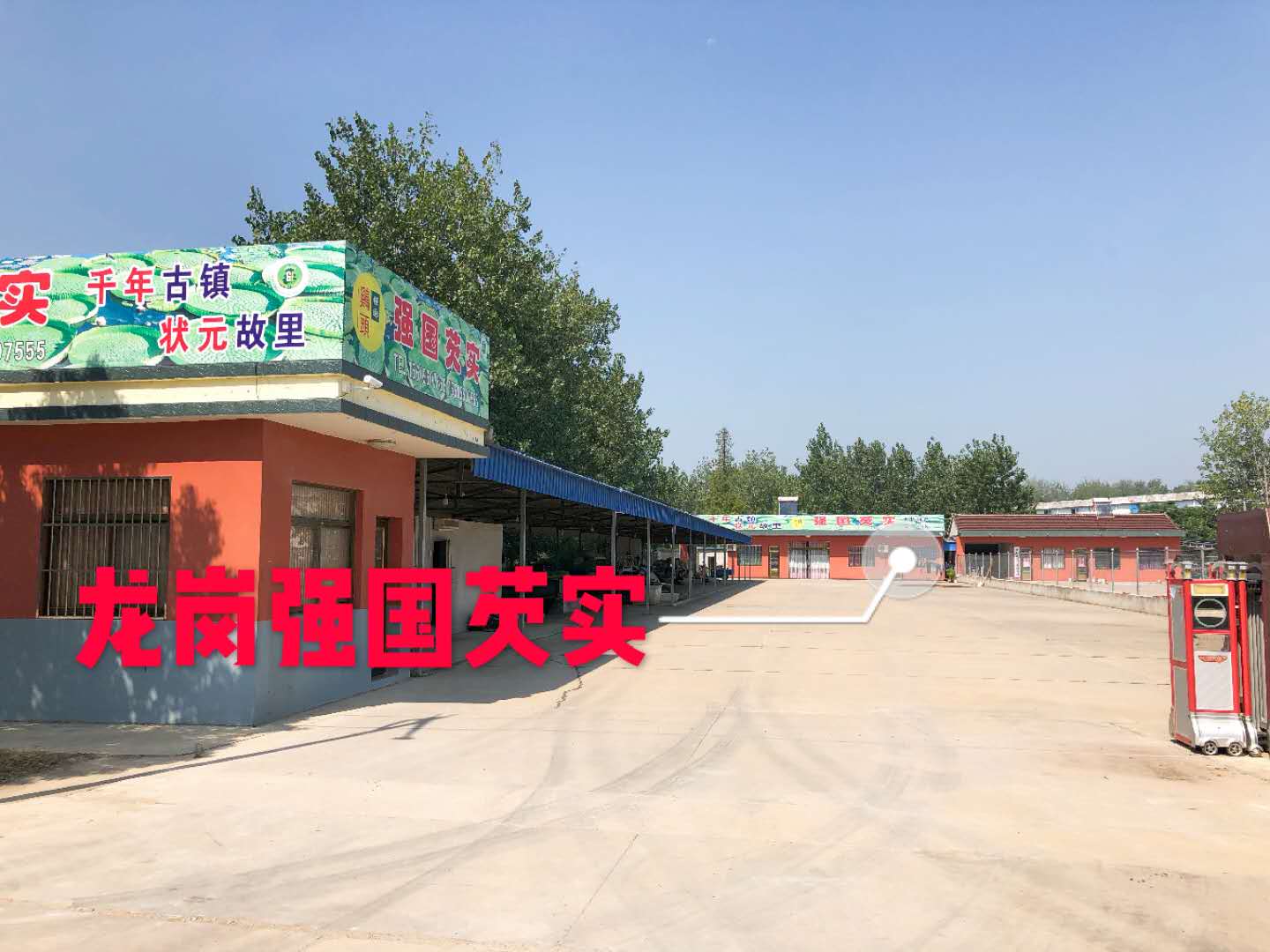 强国芡实